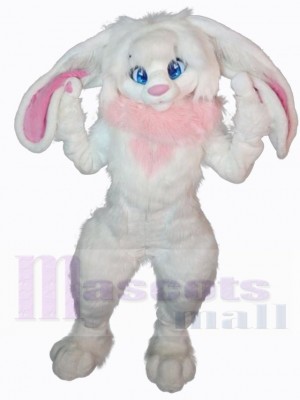 Lapin de Pâques costume de mascotte