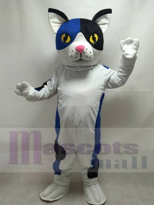 Chat Calico costume de mascotte