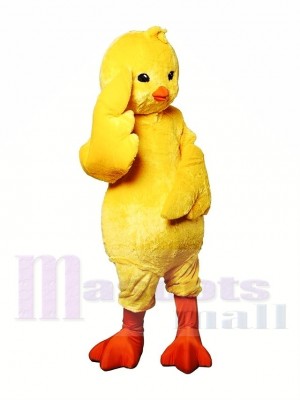 Fantaisie poulet Costume de mascotte