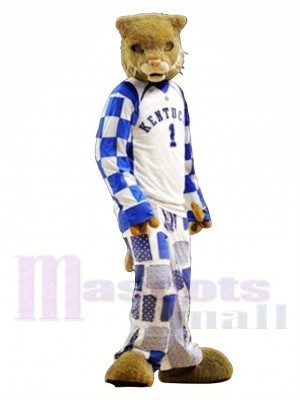 Collège Sport Wildcat Costume de mascotte Livraison gratuite
