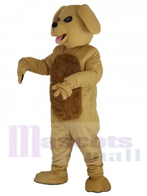 Chien costume de mascotte