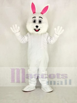 Pâques lapin avec Des lunettes Mascotte Costume Dessin animé