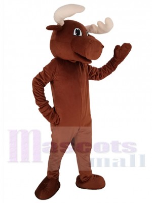 Orignal costume de mascotte