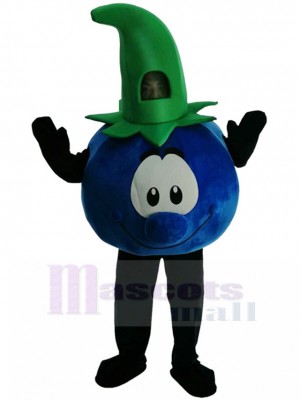 Myrtille costume de mascotte