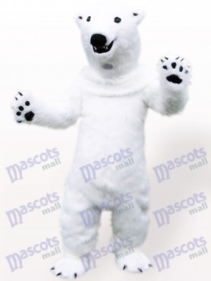 Costume de mascotte adulte animal ours polaire