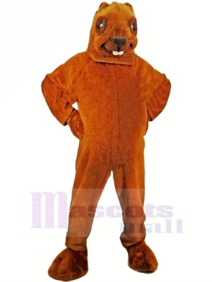 marron Castor Mascotte Adulte Costume