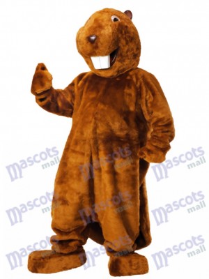 Costume de mascotte castor marron