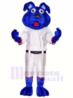 Bleu Chien avec blanc Costume Mascotte Les costumes Animal