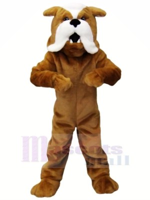 Fort marron Bouledogue Mascotte Les costumes Animal