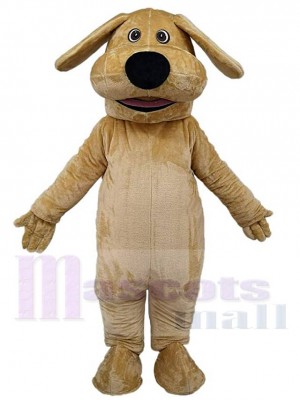 Chien costume de mascotte