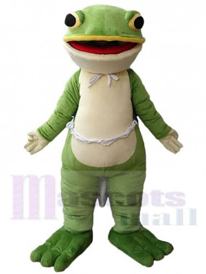 Grenouille costume de mascotte