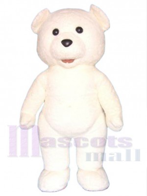 Ours en peluche costume de mascotte