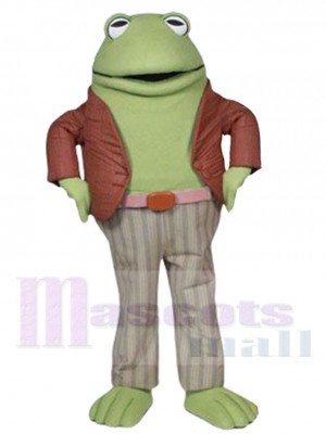 Grenouille costume de mascotte