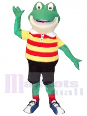 Grenouille costume de mascotte