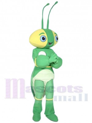 La Mante Manty costume de mascotte