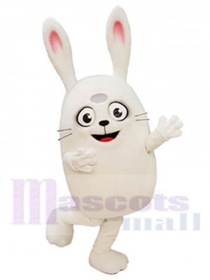 Lapin costume de mascotte