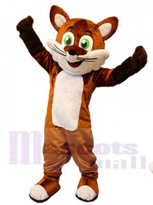 Renard costume de mascotte