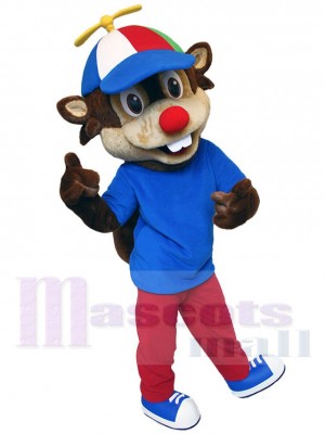 Écureuil costume de mascotte