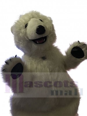 Ours polaire costume de mascotte