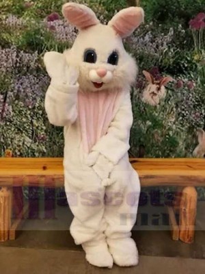 Lapin de Pâques costume de mascotte