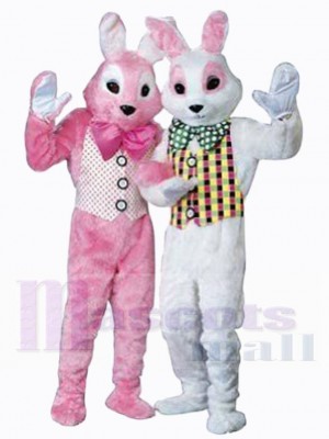 Lapin de Pâques costume de mascotte
