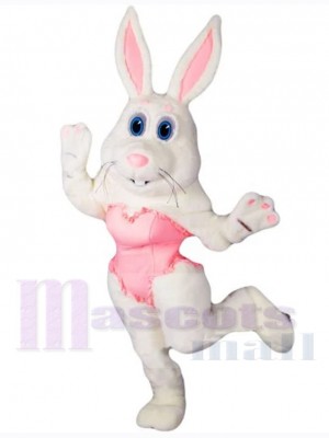 Lapin de Pâques costume de mascotte