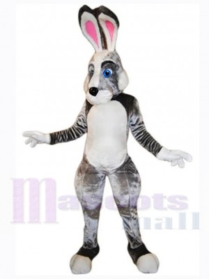 Lapin de Pâques costume de mascotte