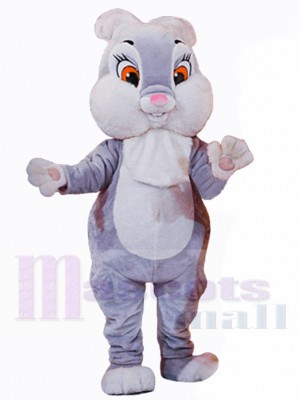 Lapin de Pâques costume de mascotte