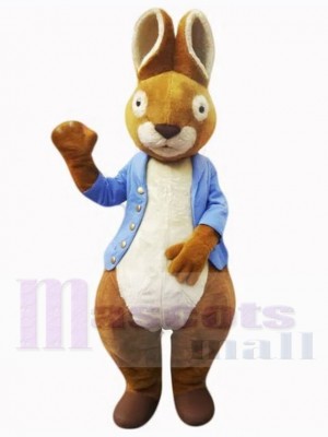 Lapin de Pâques costume de mascotte