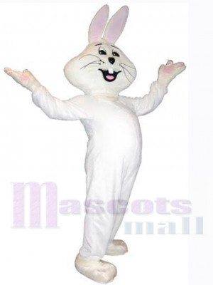 Lapin de Pâques costume de mascotte