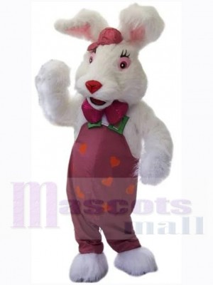 Lapin de Pâques costume de mascotte