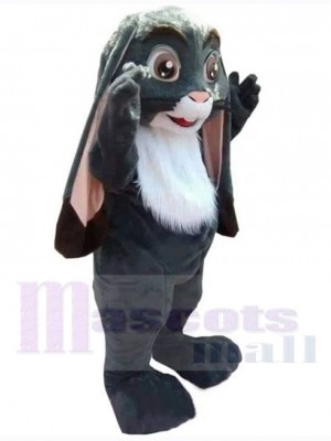 Lapin de Pâques costume de mascotte