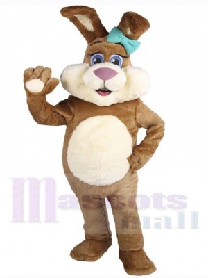 Lapin de Pâques costume de mascotte