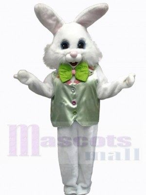 Lapin de Pâques costume de mascotte