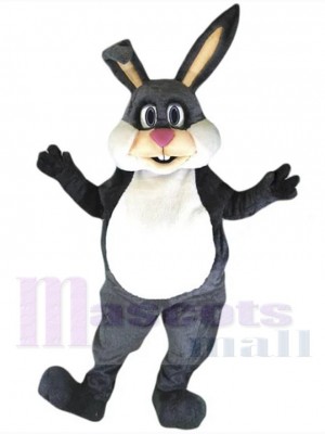 Lapin de Pâques costume de mascotte