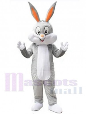 Lapin de Pâques costume de mascotte