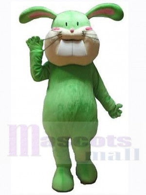 Lapin de Pâques costume de mascotte