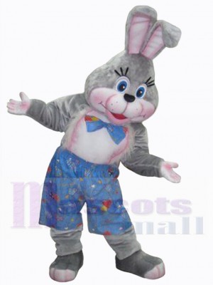 Lapin de Pâques costume de mascotte