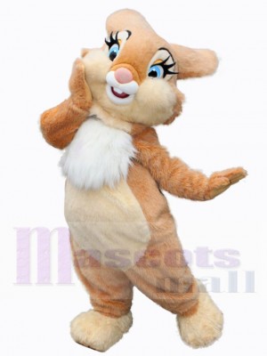 Lapin de Pâques costume de mascotte