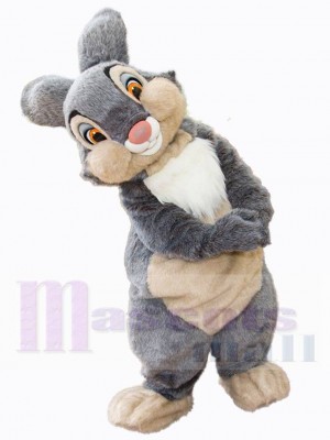Lapin de Pâques costume de mascotte