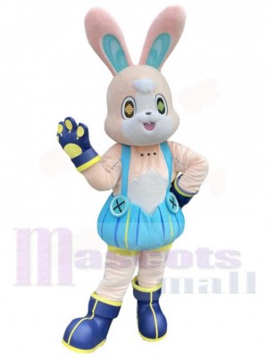 Lapin de Pâques costume de mascotte