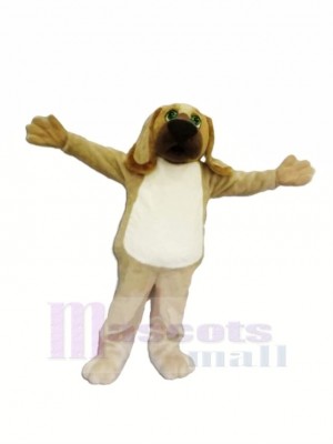 marron Chien Mascotte Les costumes Dessin animé