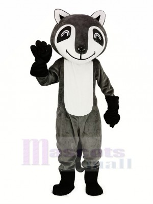 gris Raton laveur Mascotte Costume Animal