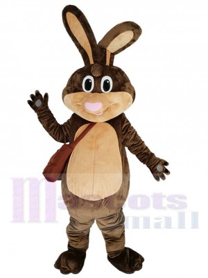 lapin de Pâques costume de mascotte