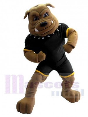 Bouledogue costume de mascotte