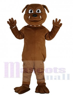 Mignon brun Bouledogue Mascotte Costume Animal