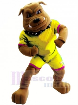 Bouledogue dans Jaune Douane Animal Mascotte Costume