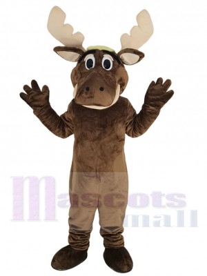 Orignal costume de mascotte