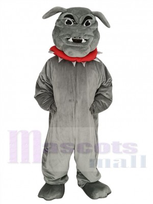 Bouledogue maskottchen kostüm