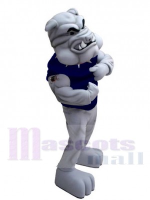 Bouledogue maskottchen kostüm